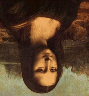 illusion mona 01.gif